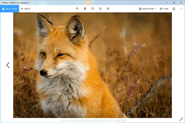 Screenshot of a .tif file in Microsoft Photos 2020